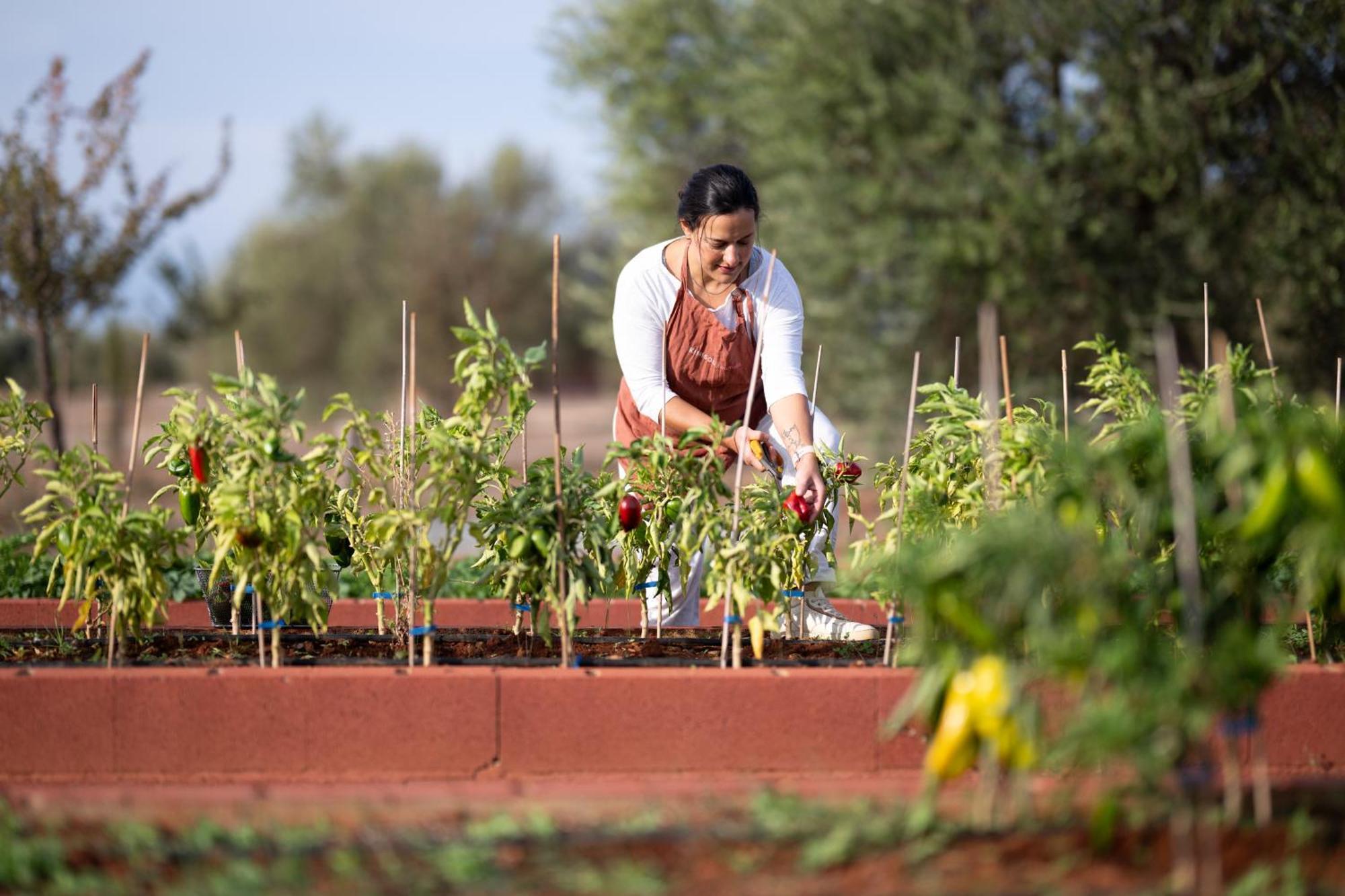 Eumelia Organic Agrotourism Farm Hotel Gouvai Luaran gambar